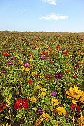 《Rootbound》Steam上线 物理破坏动作冒险